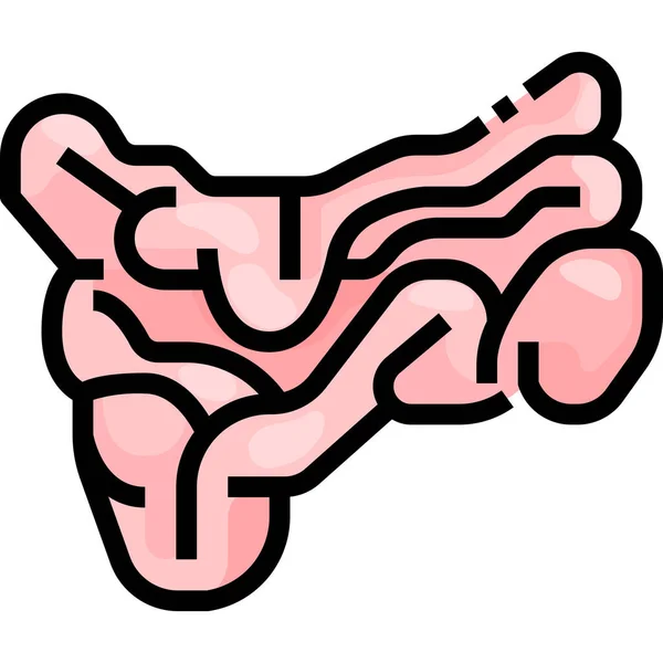 大腸消化器アイコン — ストックベクタ