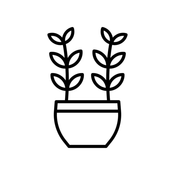 Planta Zamioculcas Zamiifolia Zanzíbar Joya Icono — Vector de stock