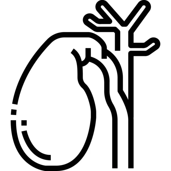 Anatomy Body Gallbladder Icon — Stock Vector