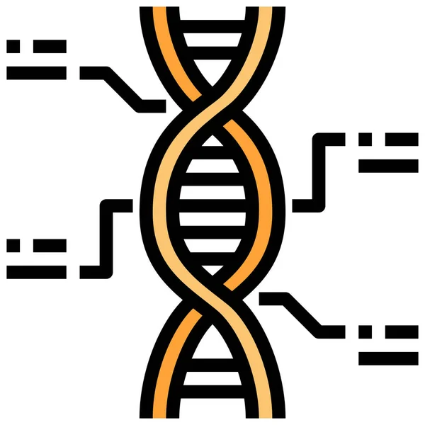 Ikon Kromosom Genetik Dna - Stok Vektor