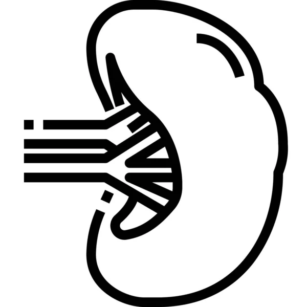 Linfatica Immunitaria Icona — Vettoriale Stock