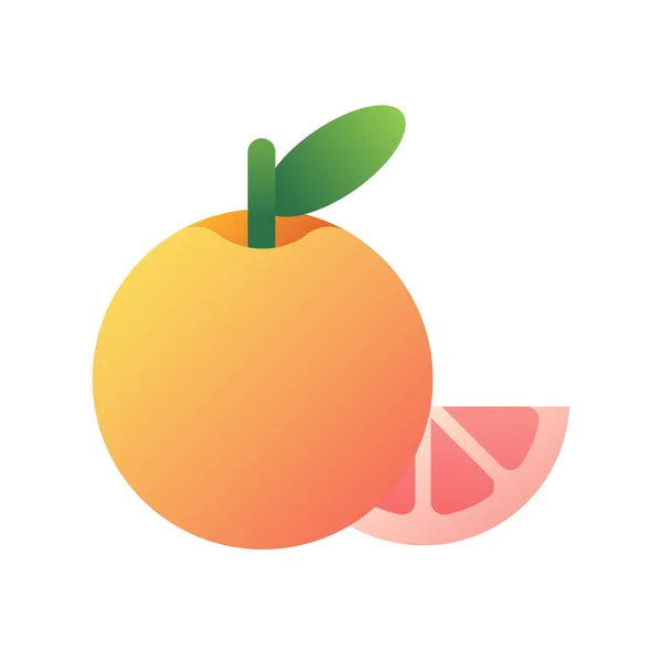 Grapefruit Fruit Citrus Icon Smooth Style — Stock Vector