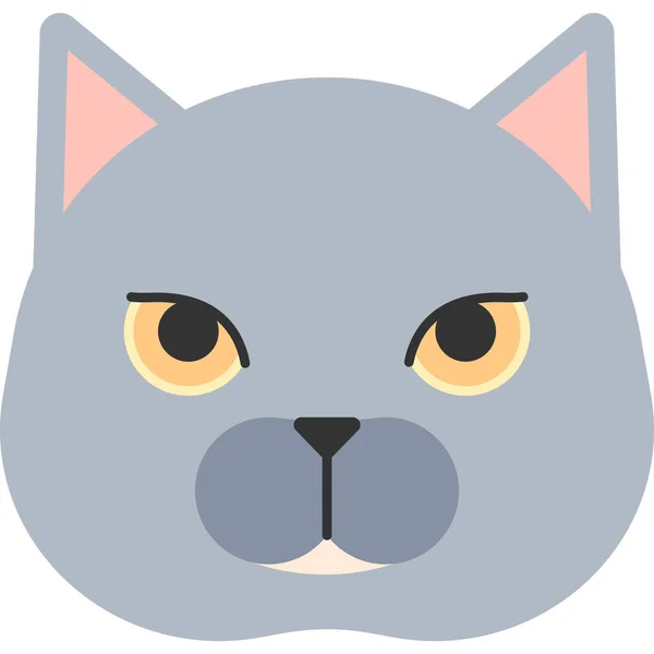 Animal Bristish Shorthair Cat Icon Flat Style — Stock Vector
