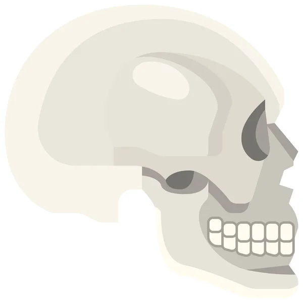 Значок Кістки Анатомії Тіла — стоковий вектор