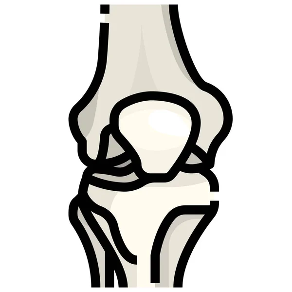 Body Bone Femur Icon — Stock Vector