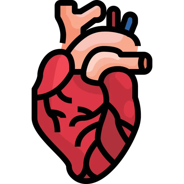 Kardiologie Herz Kreislauf Ikone — Stockvektor