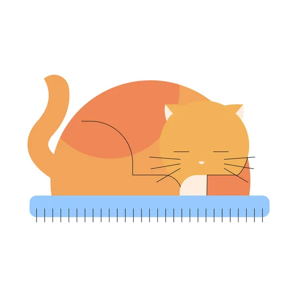 Adorable Cat Furry Cat Icon — Stock Vector