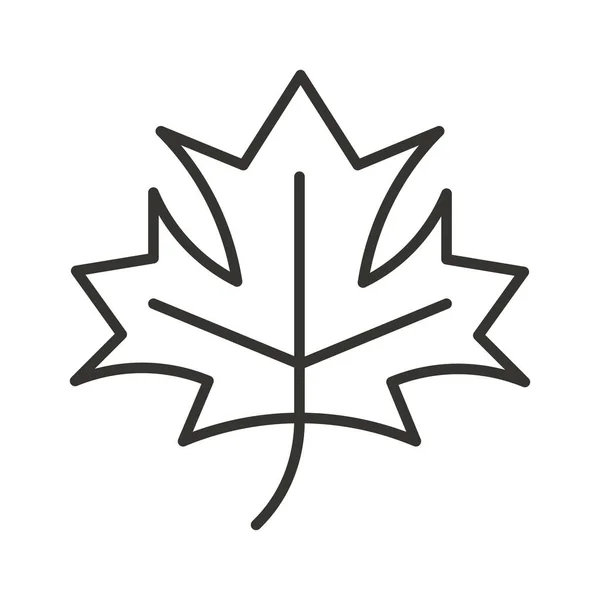 Kanada Yeşil Yaprak Simgesi Ana Hatları Biçiminde — Stok Vektör