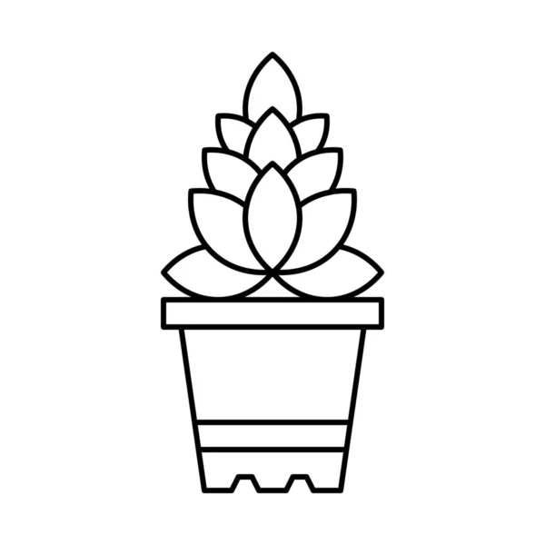 花卉花园草本植物图标的轮廓风格 — 图库矢量图片