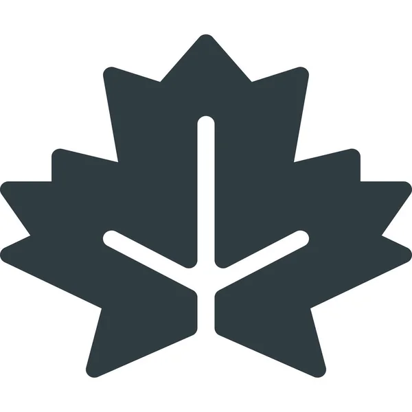 Canada Beschaving Gemeenschap Icoon Solid Stijl — Stockvector