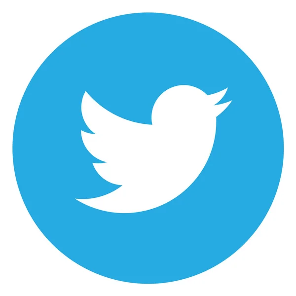 Twitter Solid Education School Learning Icon Solid Style — ストックベクタ