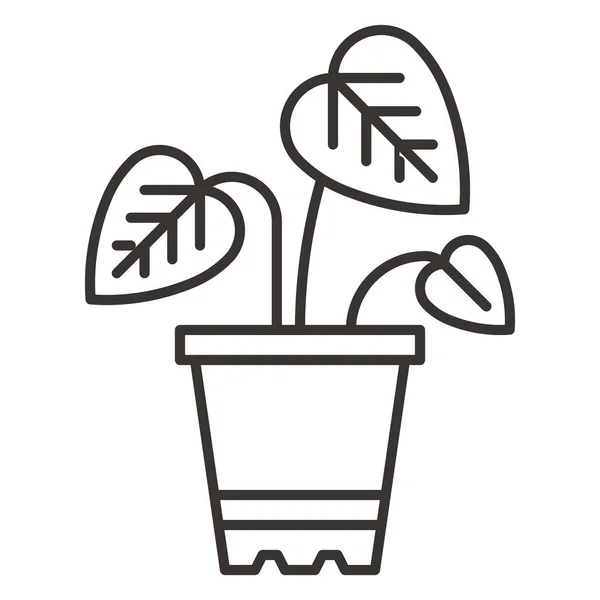 Confort Icono Flor Ecológica Estilo Del Esquema — Vector de stock