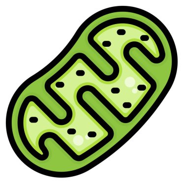 biology energy organelle icon clipart