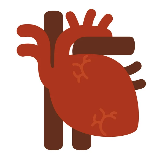 Anatomia Cardiologia Ícone Cardiovascular Estilo Plano — Vetor de Stock