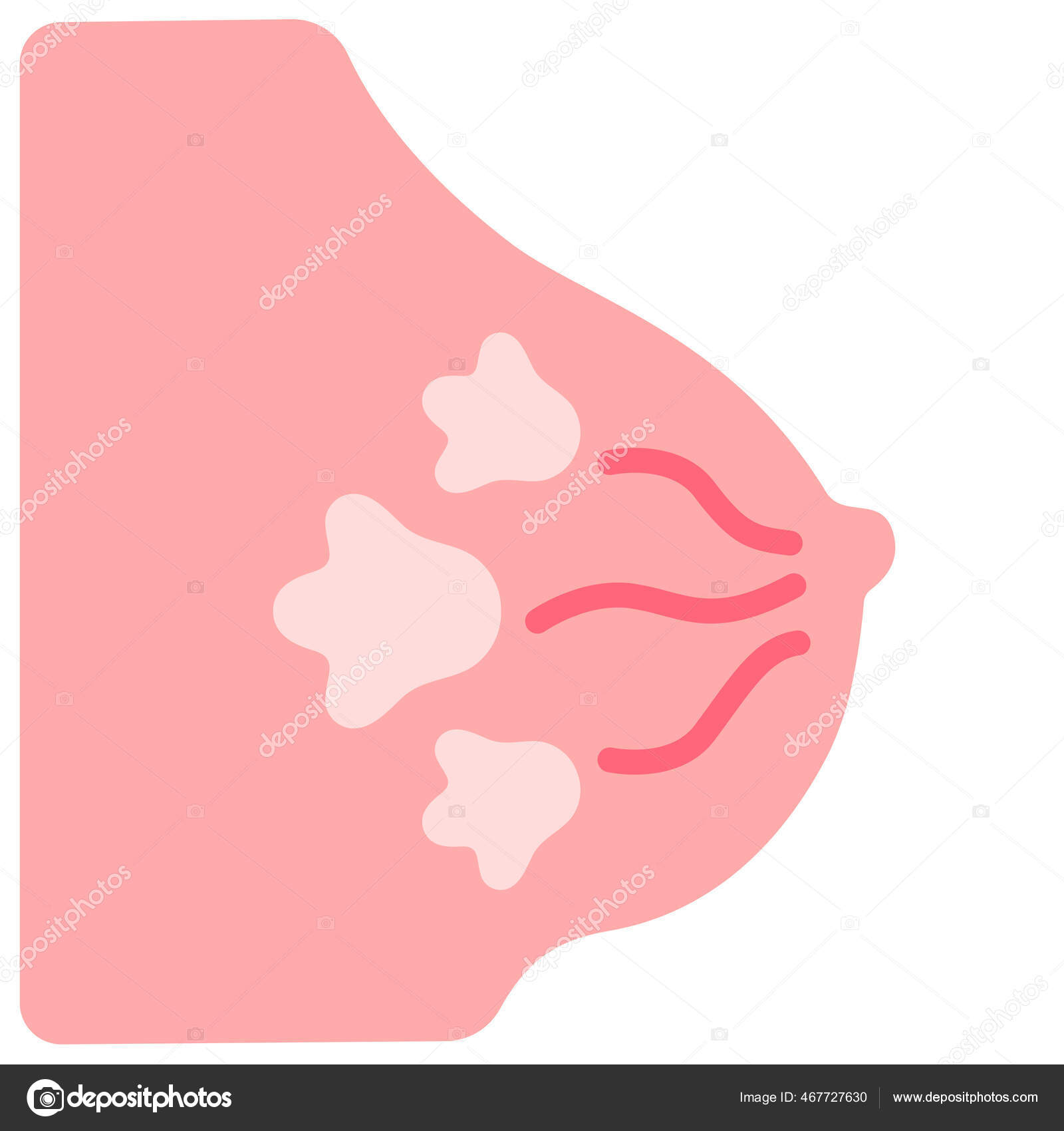 Anatomy, body parts, breast icon - Download on Iconfinder