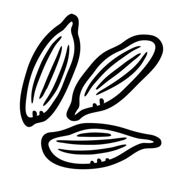 Кардамон Питания Зеленый Кардамон Икона Твердом Стиле — стоковый вектор