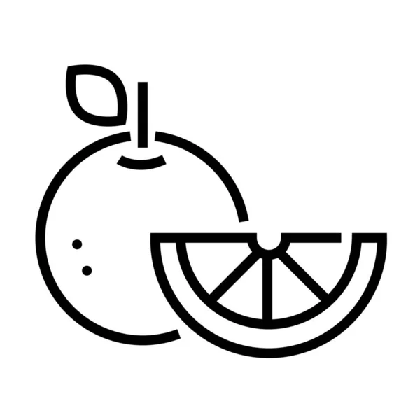 Agrumes Coupe Icône Fruits Dans Style Contour — Image vectorielle