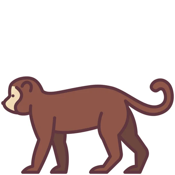 填充轮廓风格的动物黑猩猩生物图标 — 图库矢量图片