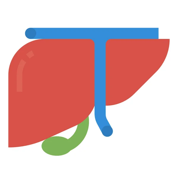 Анатомія Людської Печінки Значок — стоковий вектор