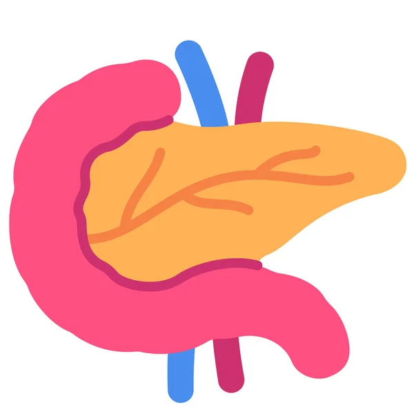 Body Digestive Human Icon — Stock Vector