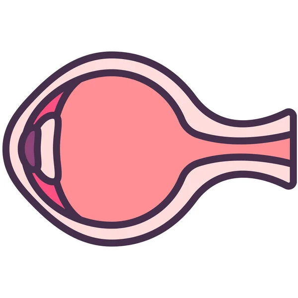 Ikona Lidského Oka Těla — Stockový vektor
