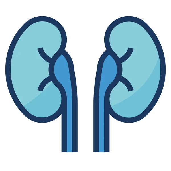 Hospital Human Kidney Icon Filled Outline Style — Archivo Imágenes Vectoriales