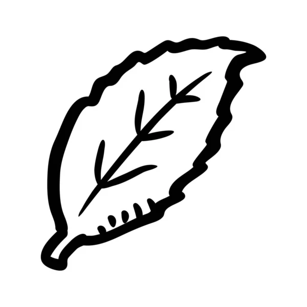 Иконка Зеленого Растительного Ингредиента Стиле Handdrawn — стоковый вектор