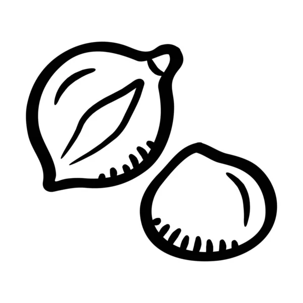 Comida Saludable Icono Nuez Macadamia Estilo Esquema — Vector de stock