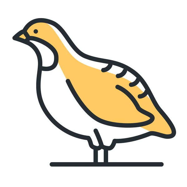 Ikona Pták Příroda Koroptev — Stockový vektor