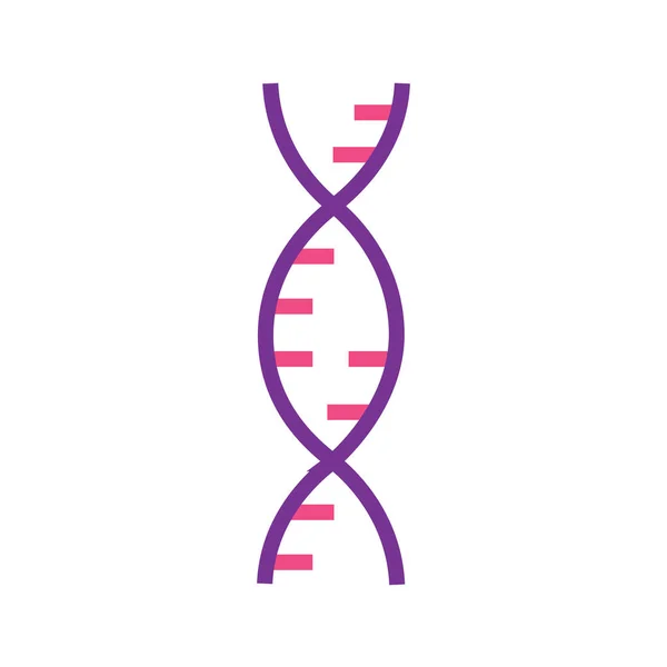 Cromosoma Adn Icono Ciencia Genética Estilo Contorno Lleno — Vector de stock