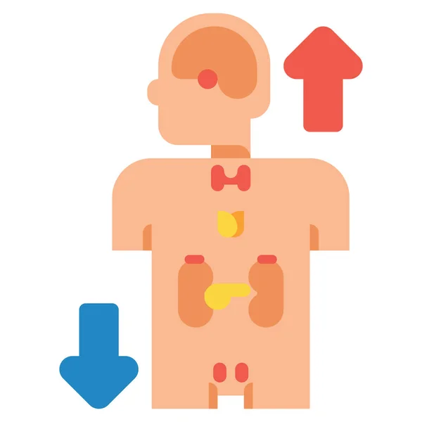 Anatomie Icône Déséquilibre Hormonal Dans Les Hôpitaux Catégorie Soins Santé — Image vectorielle
