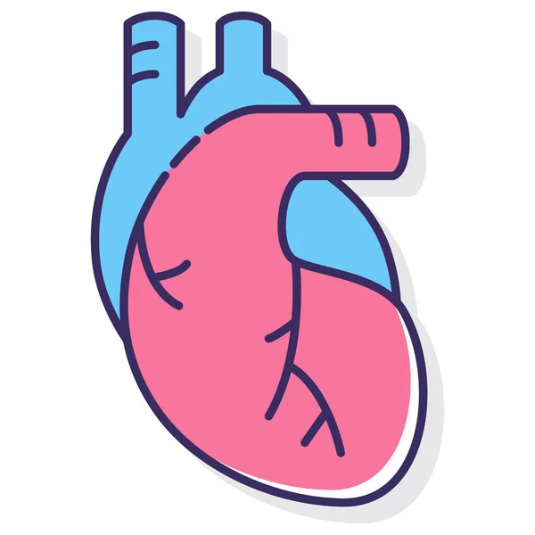 Anatomie Santé Coeur Icône Dans Les Hôpitaux Santé Catégorie — Image vectorielle