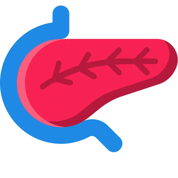 Pancreas Anatomy Body Icon Flat Style — Stock Vector