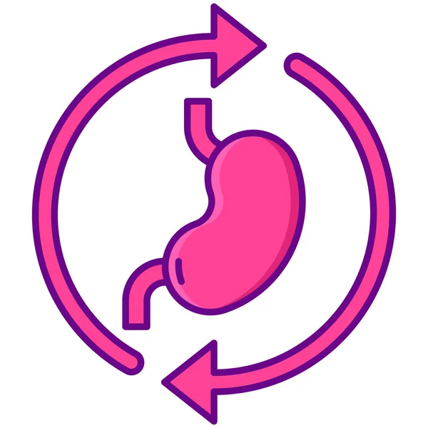 Sistema Renal Icono Digestivo — Archivo Imágenes Vectoriales