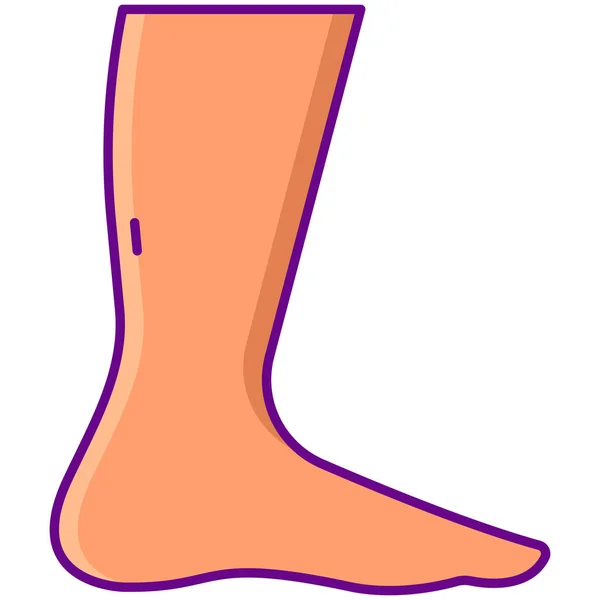 Foot Feet Ankle Icon — Stock Vector