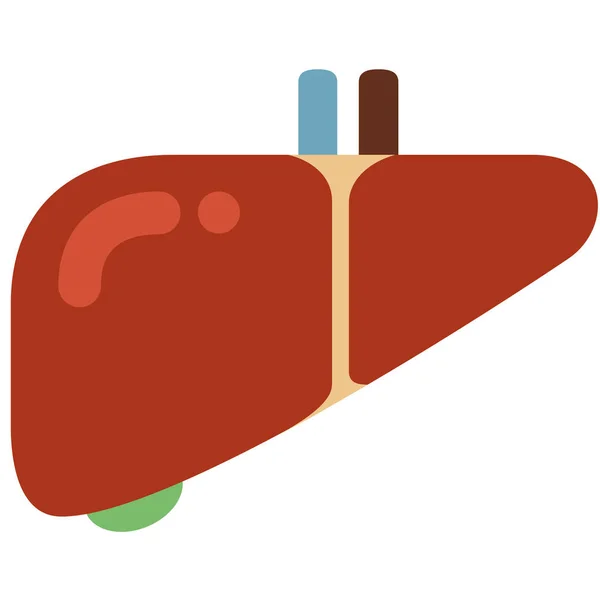 Icono Desintoxicación Anatomía Estilo Plano — Archivo Imágenes Vectoriales