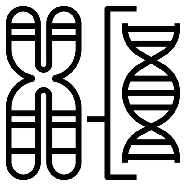 Ikon Gen Dna Kromosom Dalam Gaya Garis Luar - Stok Vektor