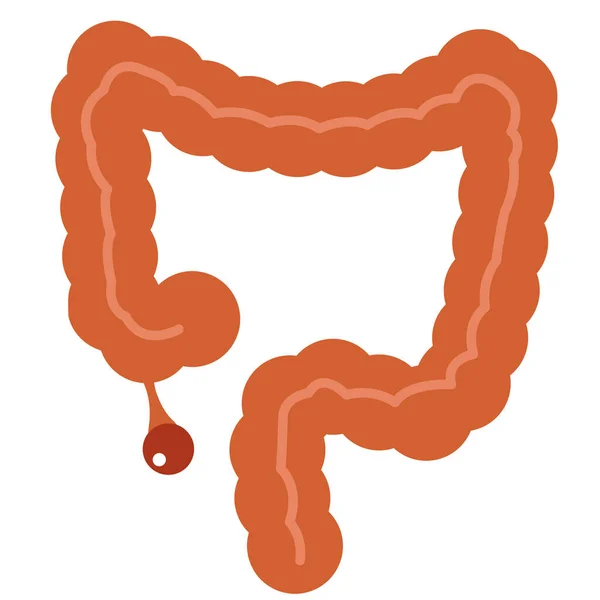 Apendicitis Apéndice Colon Icono Estilo Plano — Vector de stock