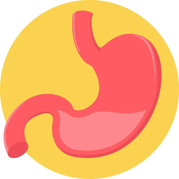 Anatomy Organ Stomach Icon Flat Style — Stock Vector