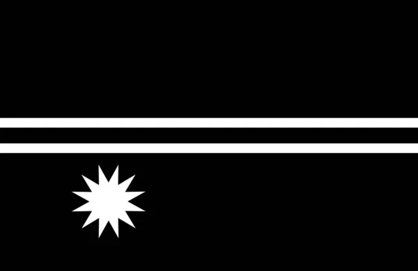 Flagge Nauru Symbol Solidem Stil — Stockvektor