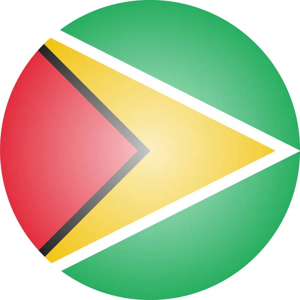 Bandera Del País Guyana Icono Estilo Isométrico — Archivo Imágenes Vectoriales
