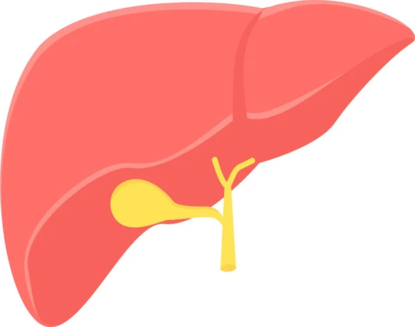 Икона Детоксикации Печени Плоском Стиле — стоковый вектор