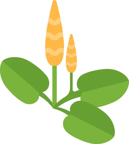 フラットスタイルのフードガーデン植物アイコン — ストックベクタ