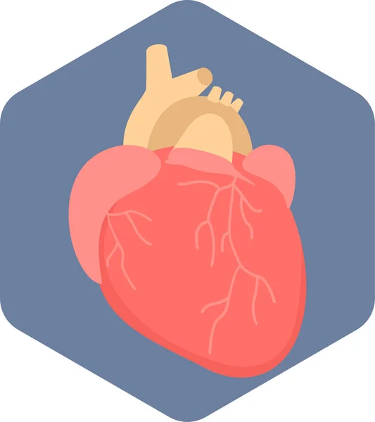 Καρδιά Όργανο Σώματος Ανθρώπινη Καρδιά Εικονίδιο Επίπεδο Στυλ — Διανυσματικό Αρχείο