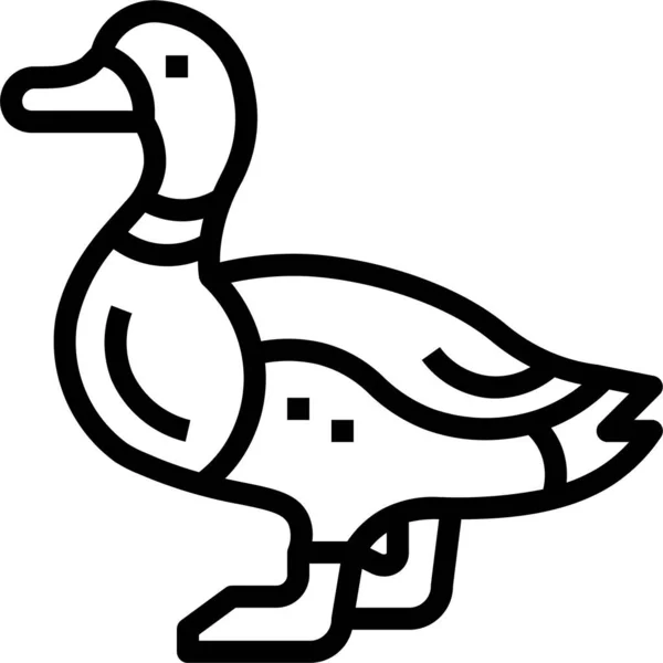 Aves Corral Mallard Farm Icon — Vector de stock