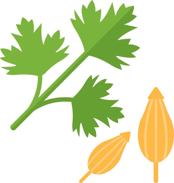 Greenery Herbs Plant Icon Flat Style — Stock Vector