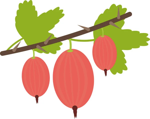Food Gooseberry Groats Icon Flat Style — Stock Vector
