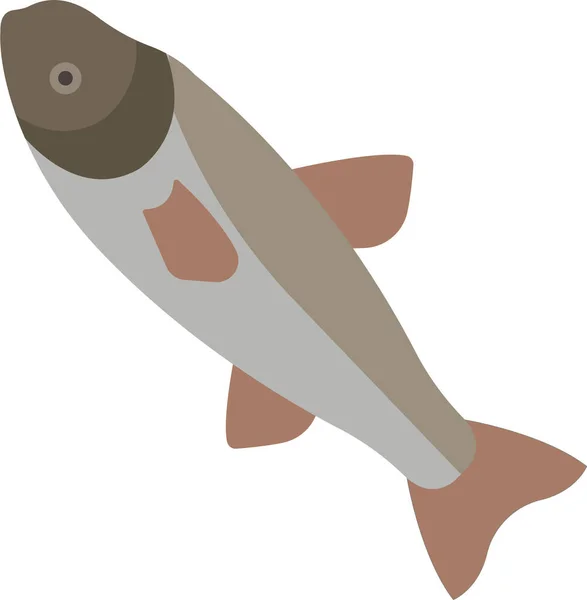 Ζώο Ψάρια Γλυκού Νερού Εικονίδιο Επίπεδη Στυλ — Διανυσματικό Αρχείο