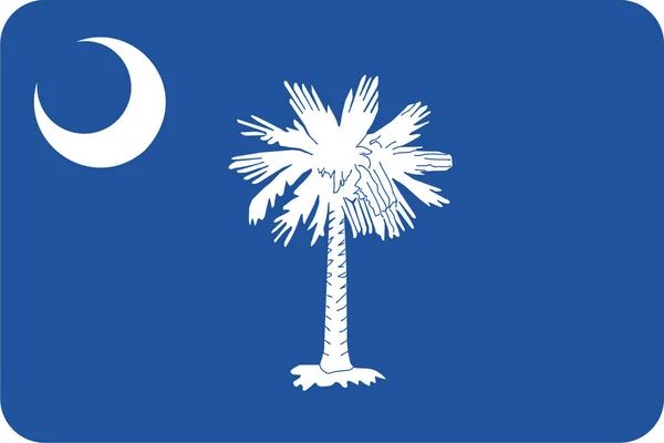 Amerikaanse Carolina Vlag Pictogram Vlag Categorie — Stockvector