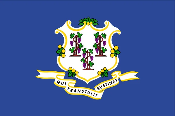 Connecticut Flag State Icon Flat Style — Stock Vector